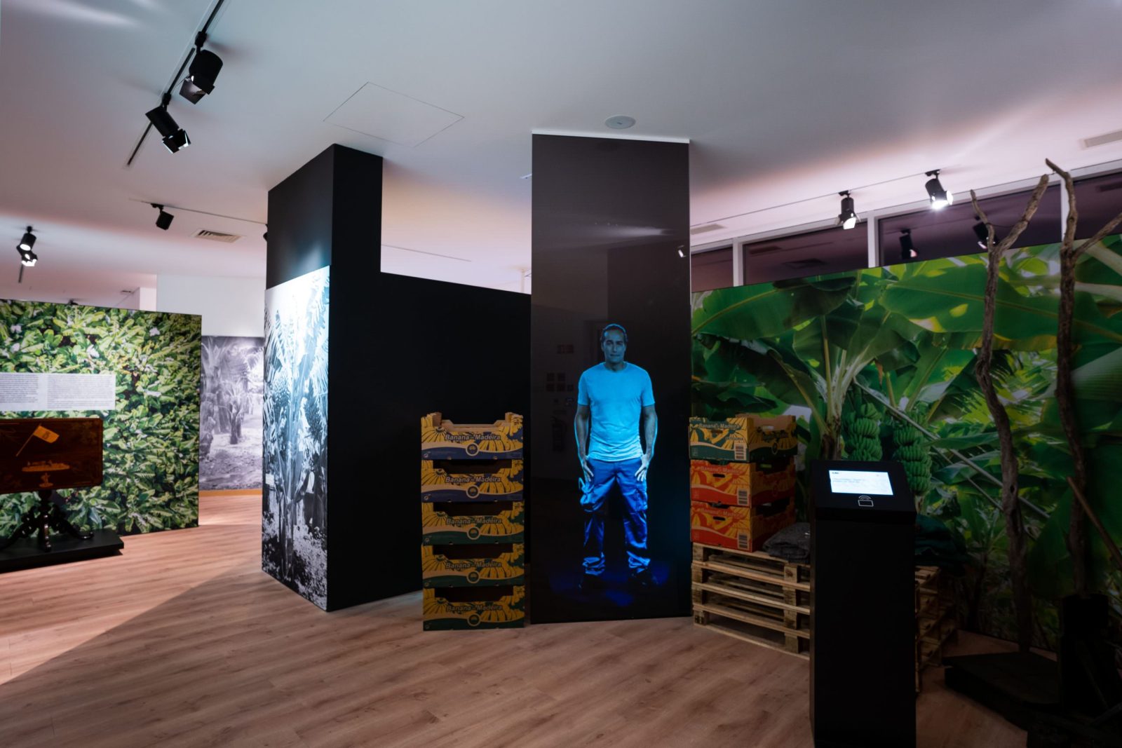 BAM | Centro da Banana da Madeira