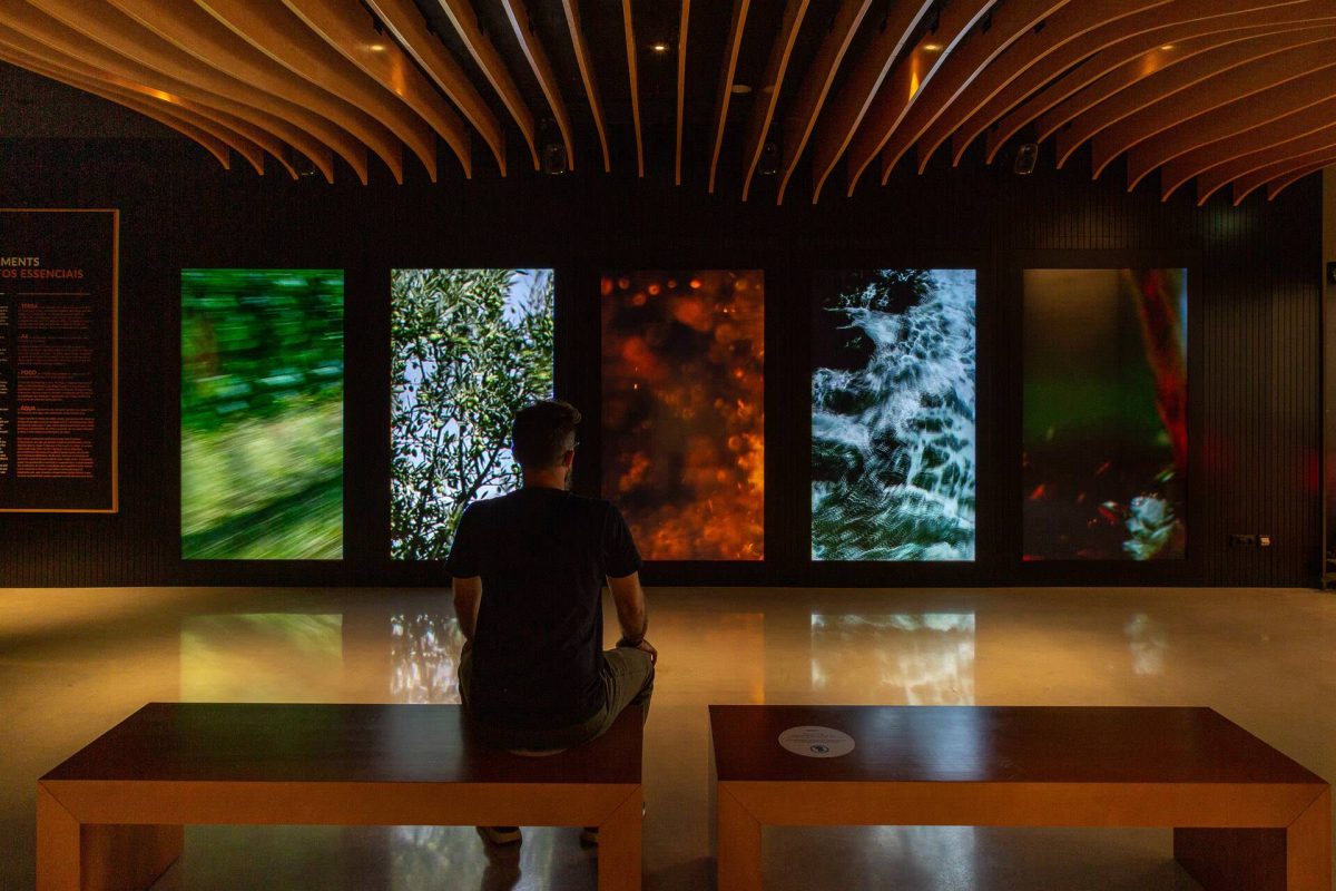 WOW | The Wine Experience