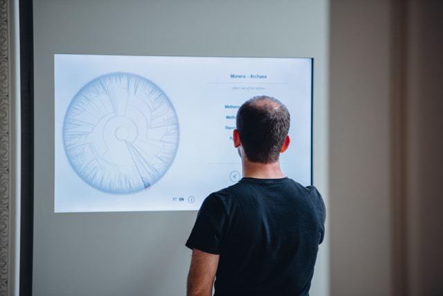 Multitouch Installations